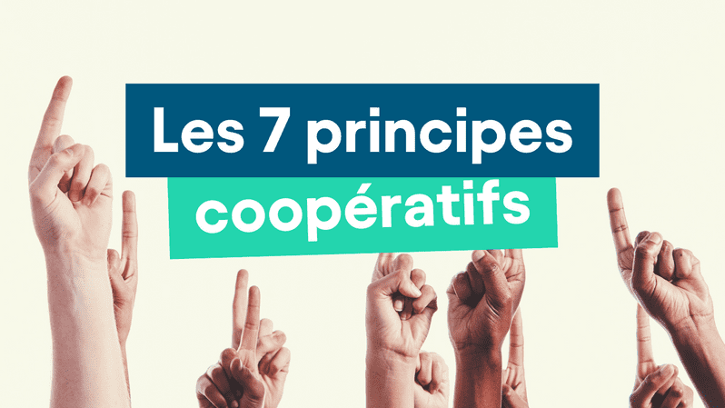 Les 7 principes coopératifs Windcoop